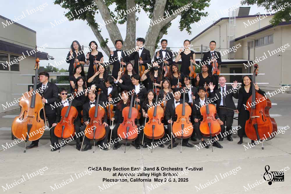 Musical Images